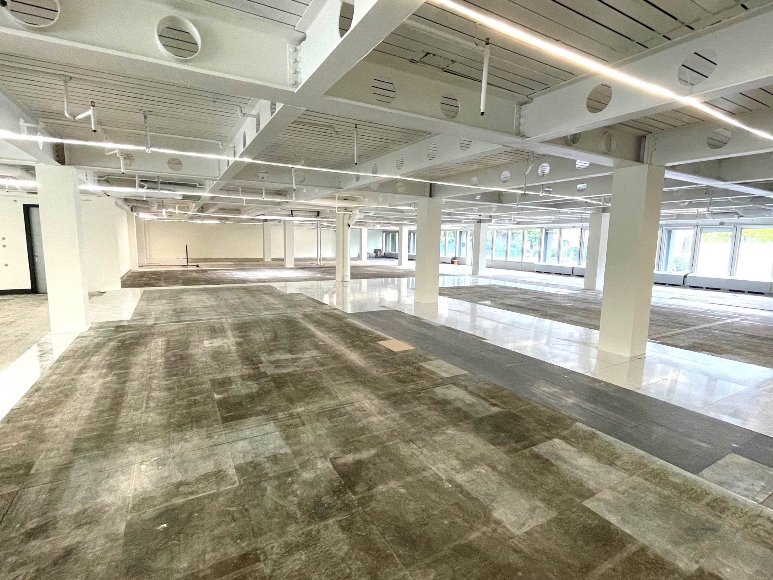 20240824 NewRoseneck5